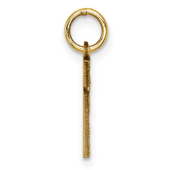14k Yellow Gold, Varsity Collection, Small D/C Pendant Number 1 - Picture 2 of 5